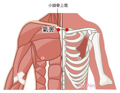 氣穴|氣穴位置 